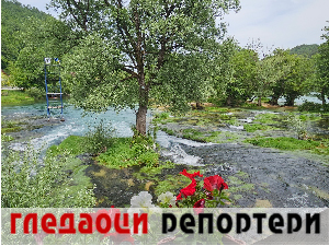 Гледаоци репортери 2. јул 2024.