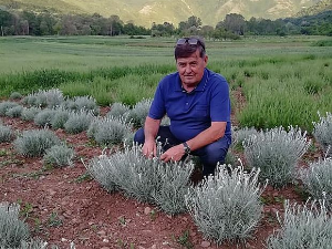 Право на сутра-Плантаже у Лепосавићу