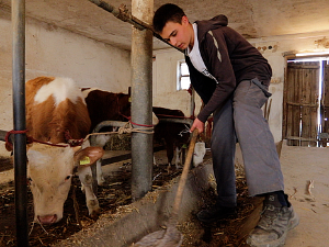 Моја дедовина 2 - село Штитар код Шапца, 1. емисија