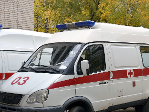 Проф. Ђенић: На ВМА број прегледа и хоспитализација за 20 одсто већи него пре месец дана