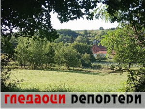 Гледаоци репортери 14. јул 2024.