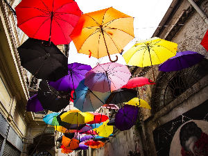 1001 Траг - Кишобран