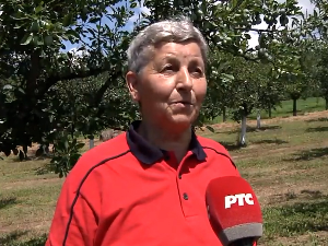 Пољопривредница из Доњег Точана