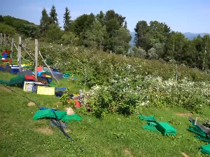 Почела санација штете од невремена које је пре два дана погодило Косјерић