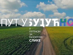 Пут у будућност: У потрази за разлогом слике, 2-13, 1С 