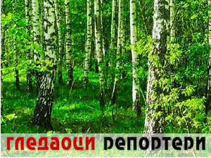 Гледаоци репортери 20. јул 2024.