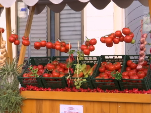  Лебане: Од парадајза до туриста