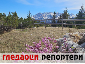 Гледаоци репортери 21. јул 2024.