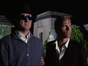 Мачка са девет репова