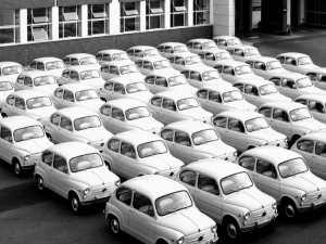 Вољени Фића