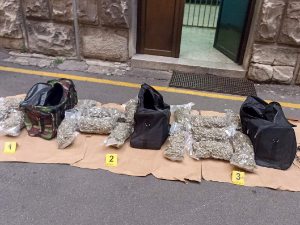 Полиција ухапсила седам особа и запленила 20 килограма марихуане