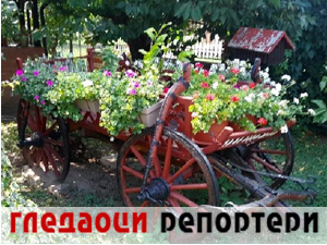 Гледаоци репортери 25. јул 2024.