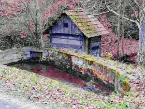 Моја дедовина 2 - Горњи Лајковац (Мионица), 12. емисија