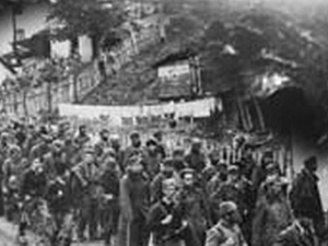 Живот је наш