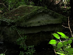Нови сјај старих, заборављених чесама