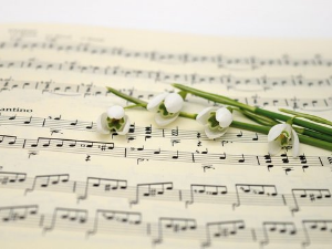 Вокални ансамбли - The Jacksons five