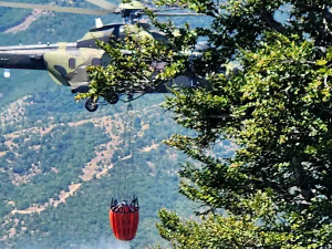 Припадници МУП-а гасе пожар код Рашке, Бујановца и у Северној Македонији