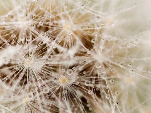 Имагинарни пејзажи