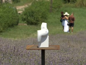 Уметничка дела настају у пољима лаванде у Тамњаници