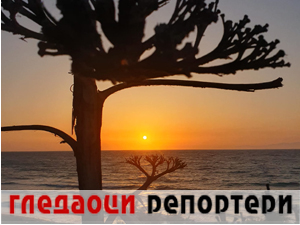 Гледаоци репортери 7. јул 2024.