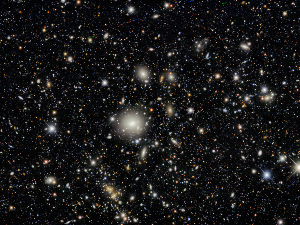 Душан Ристић: Последња звезда