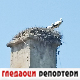 Гледаоци репортери 10. јул 2024.