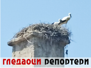 Гледаоци репортери 10. јул 2024.