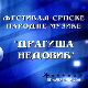 Фестивал Народне музике "Драгиша Недовић"