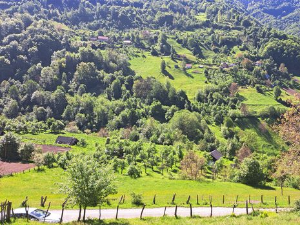 Квадратура круга: Велики злочин у Велици