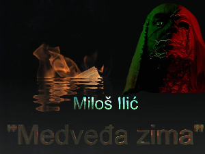 Милош Илић: Медвеђа зима