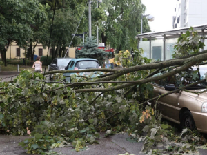 Невреме у Хрватској, ветар носи све пред собом