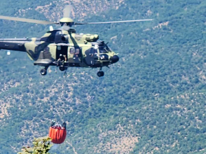 Локализовани пожари код Бујановца и на планини Стол код Бора
