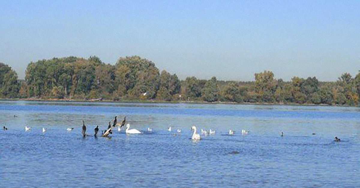 Еко перспективе: Свет у капи воде Еко перспективе: Свет у капи воде