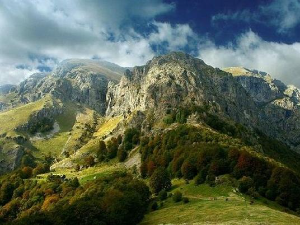 Војска спасила више од двеста грла стоке на Старој планини