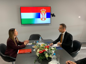 Министарка Месаровић у посети Будимпешти, састала се са Сијартом