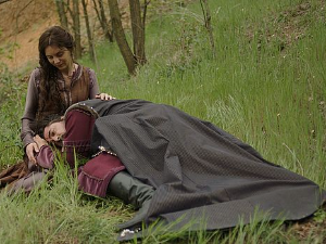 Немањићи - рађање краљевине, 5-13