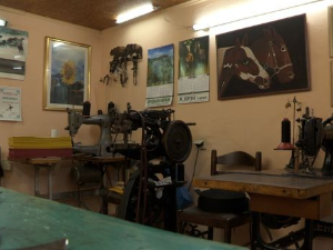 Моја лепа Србија - Уметници свога заната