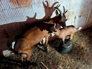 Знање имање: Знање и искуство