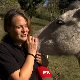 Како је Ива, са енглеском дипломом инжењера коњарства, Београд заменила селом код Нове Вароши?
