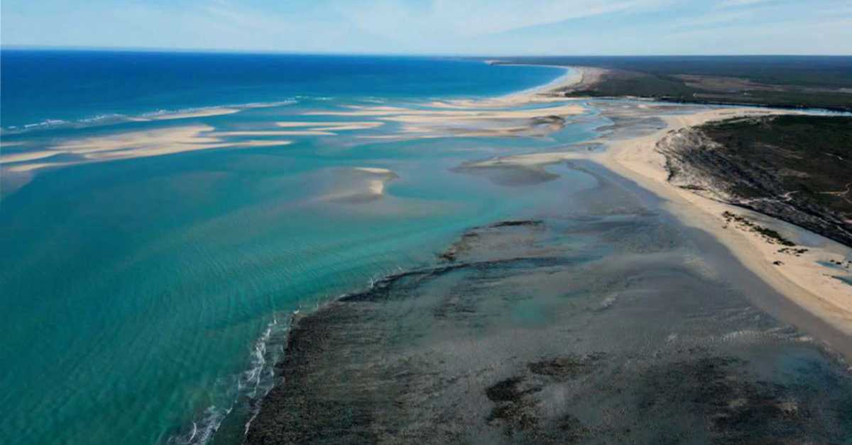 Неустрашиви борци са морских обала: Канада, 1-4