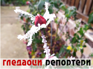 Гледаоци репортери 2. јануар 2025.