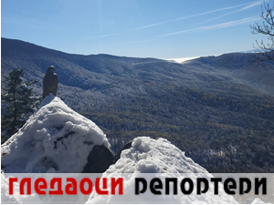 Гледаоци репортери 16. јануар 2025.