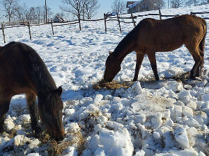 Знање имање-12.1.2025.