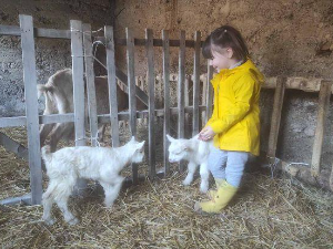 Квадратура круга - Најмлађе планинско село у Србији