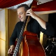 36. Београдски џез фестивал: НЕНАД ВАСИЛИЋ, BASS & STRINGS