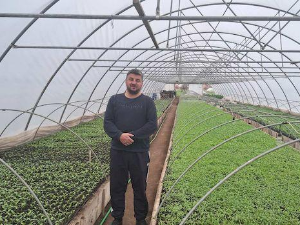 Квадратура круга-Кад би сви као Тошовићи