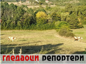 Гледаоци репортери 2. фебруар 2025.