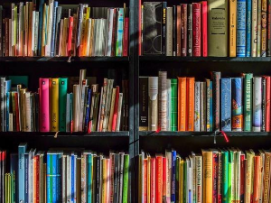 Михаел Антоловић: Рецепција ’школе Анала’ у српској историографији (4)