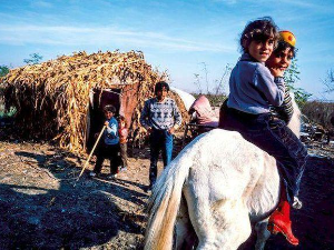 Романипен- Цигани света, Драгољуб Замуровић