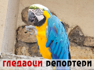 Гледаоци репортери 16. фебруар 2025.